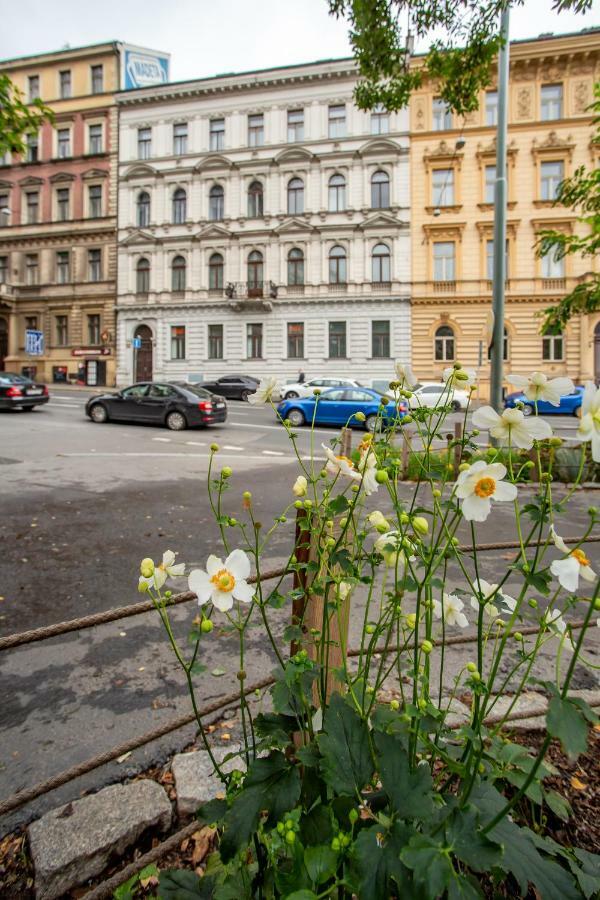 Open Gate Apartment Prague Ngoại thất bức ảnh
